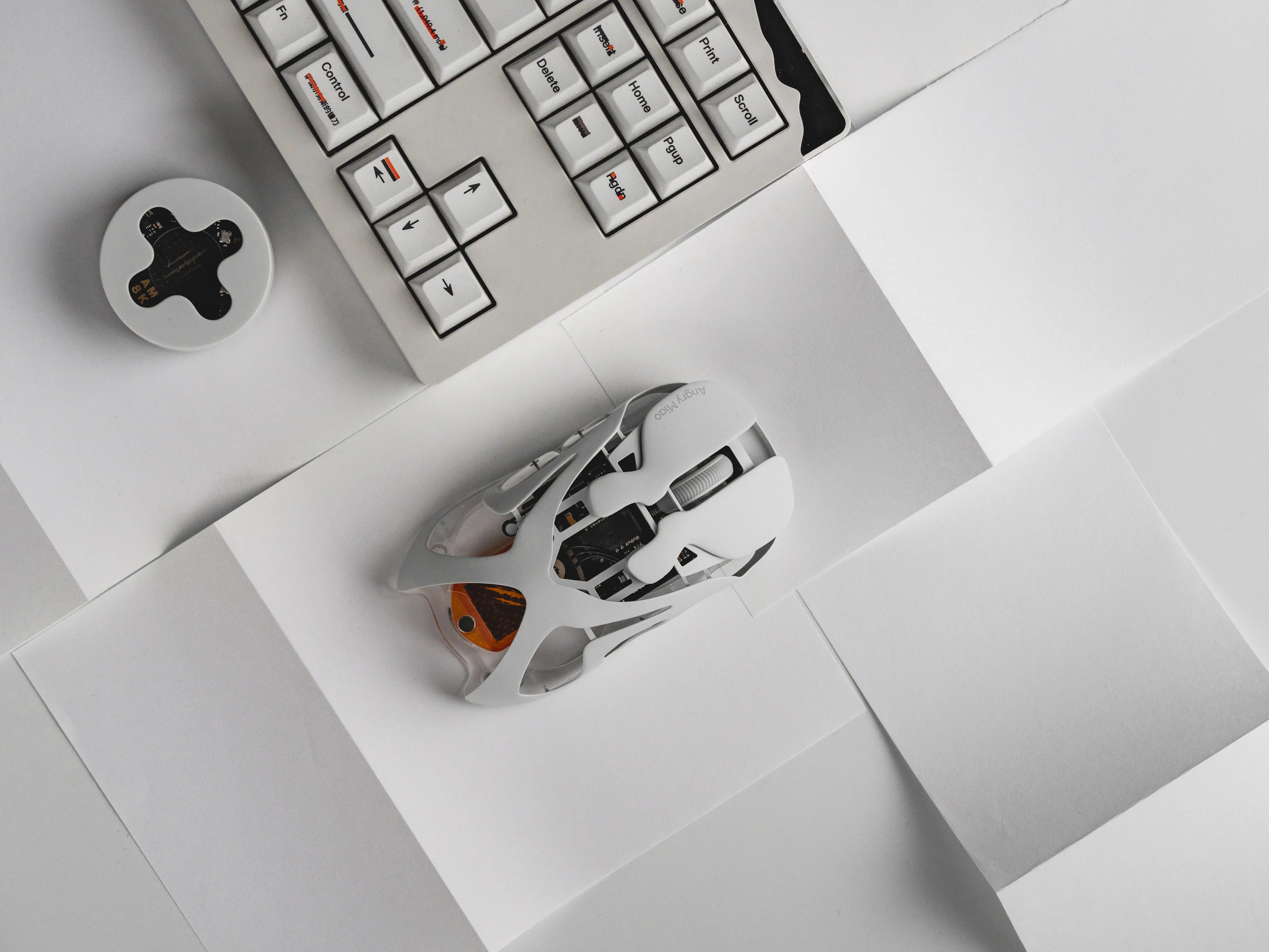 AM INFINITY MOUSE (Vorverkauf)